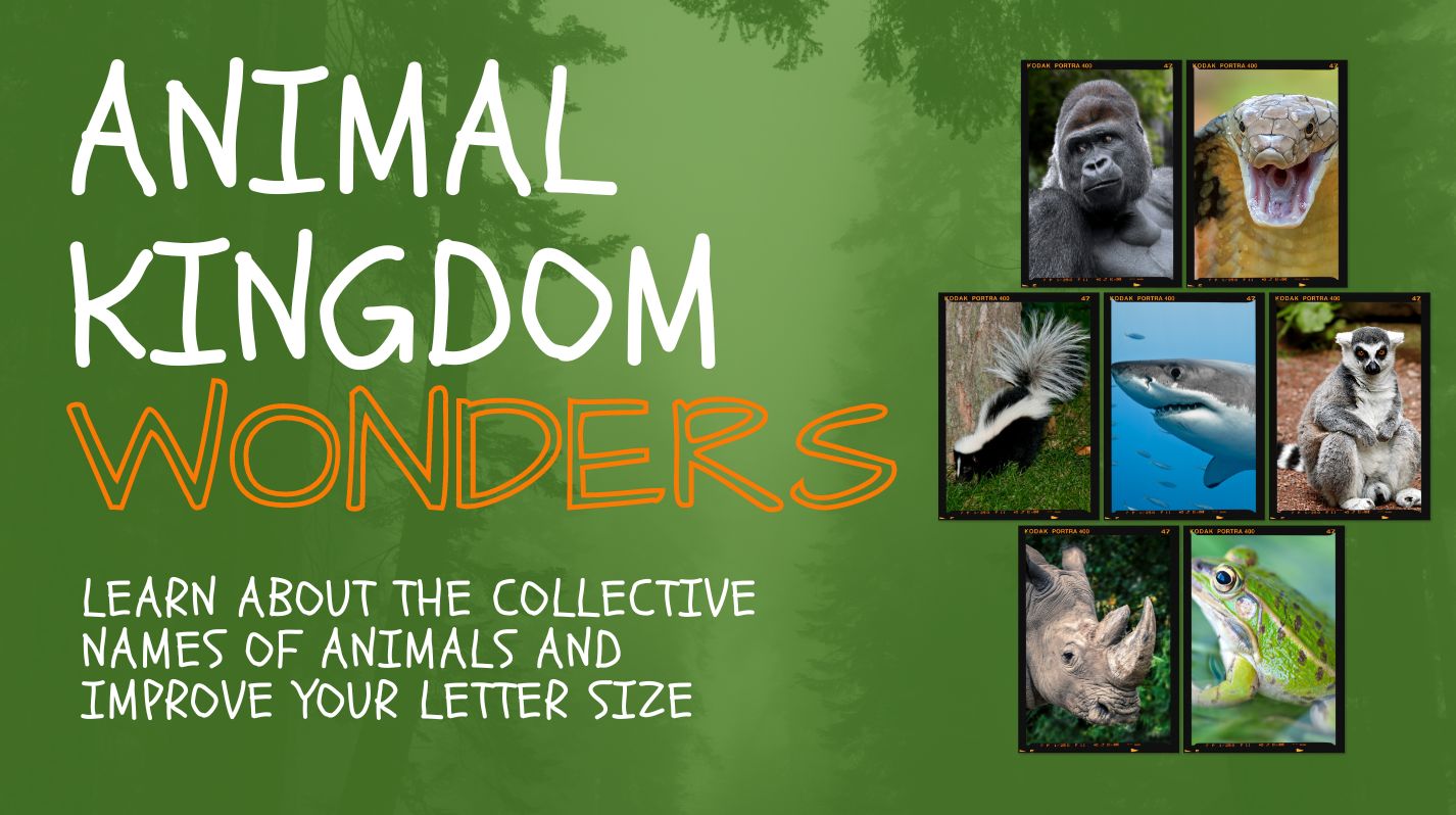 Course image for Animal Kingdom Wonders